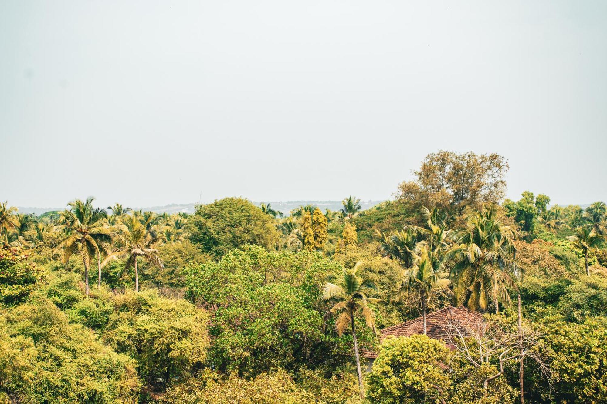 Last Minute Trip Hostel Morjim Ngoại thất bức ảnh