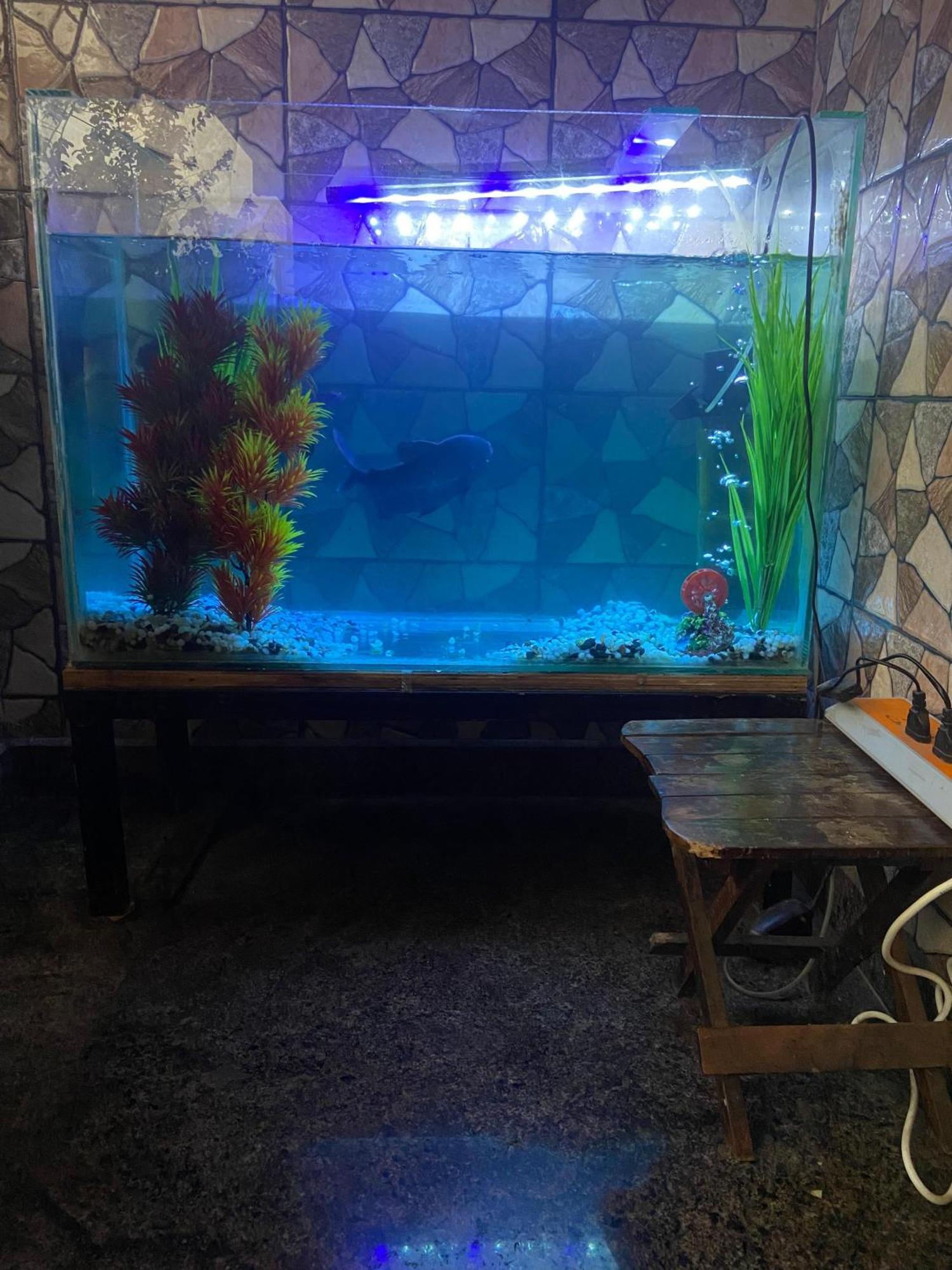 Last Minute Trip Hostel Morjim Ngoại thất bức ảnh